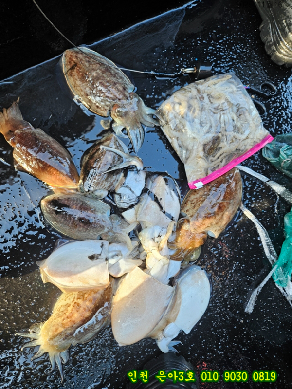 11월16 3호 (11).jpg