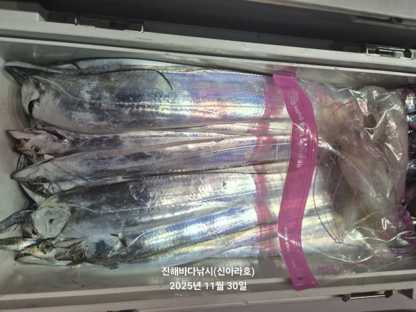 바다꾼낚시(신아라호)_사진_20251130_6.jpg