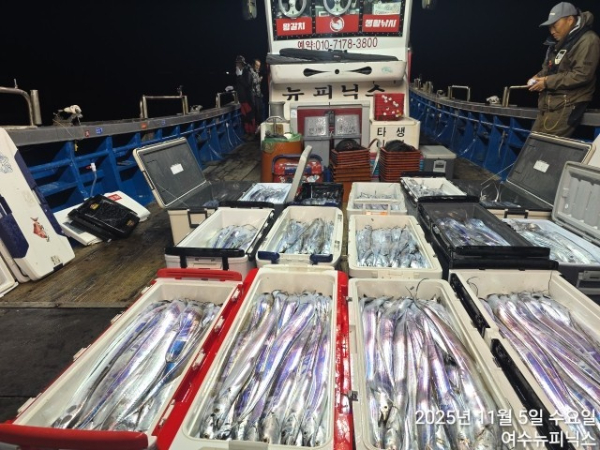 11월5일대갈치 (3).jpg