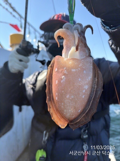 군산 선상낚시, 바다낚시 출조 전문 ☆서군산낚시☆_사진_20251103_15.jpg