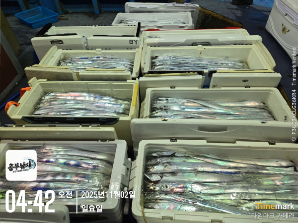 2025-11-02 04.42.04_.jpg