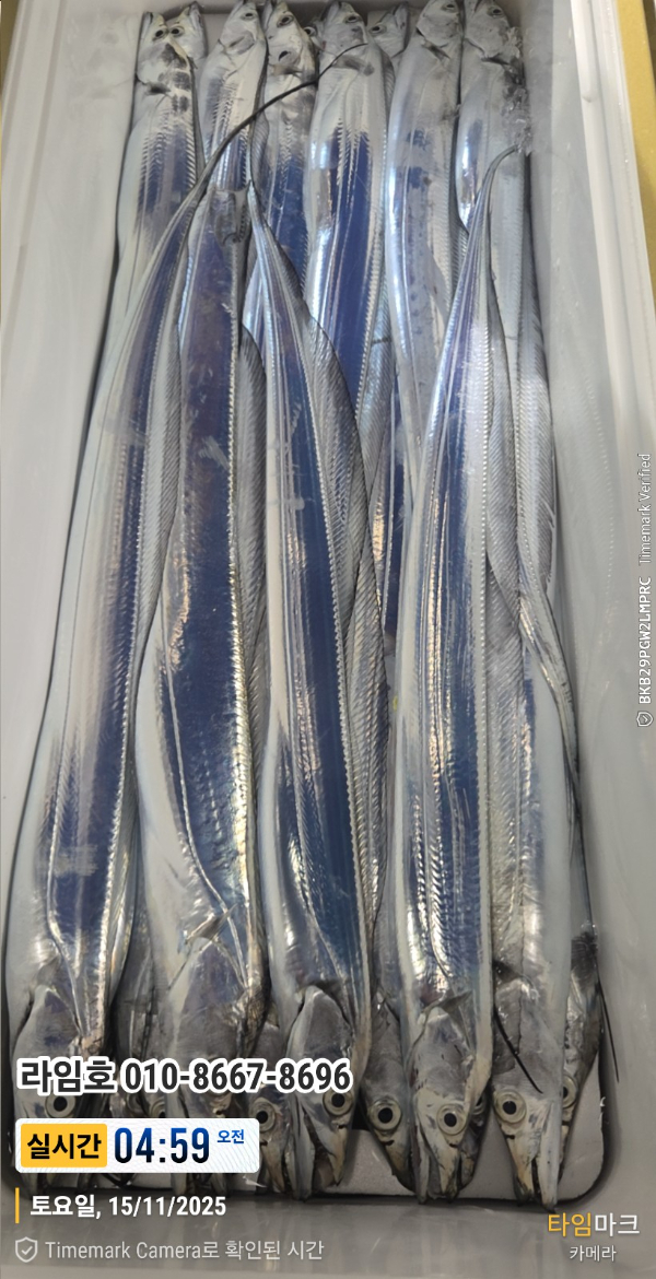 2025-11-15 04.59.55__(제목-실시간)_(라임호 010-8667-8696).jpg