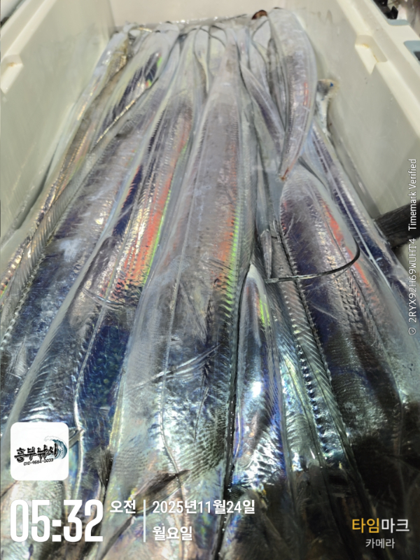 2025-11-24 05.32.35_.jpg