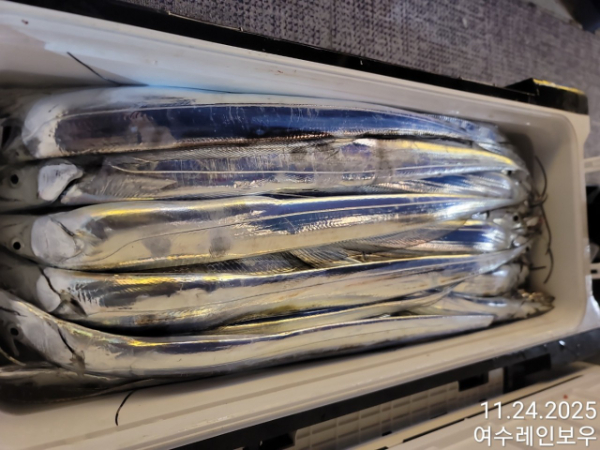 ♡여수레인보우♡갈치_열기_한치_갑오징어__사진_20251124_17.jpg