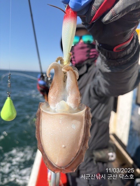 군산 선상낚시, 바다낚시 출조 전문 ☆서군산낚시☆_사진_20251103_18.jpg
