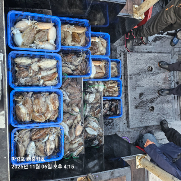 ꫛꫀꪝ✧‧˚ 태안 마검포 新출항호 .• _˚☀₊_사진_20251106_5.jpg