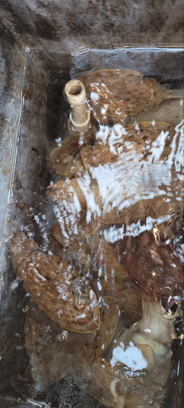 예지퀸호 농어외수질&어초낚시 경기인천권_사진_20251112_14.jpg