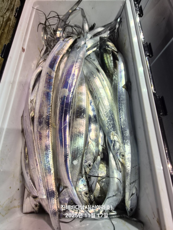 바다꾼낚시(신아라호)_사진_20251117_16.jpg
