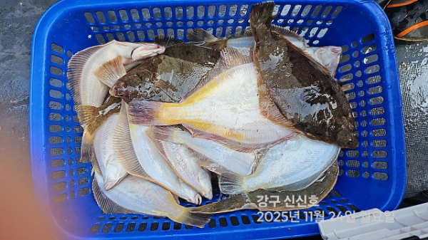 신신낚시 강구점 신신호_사진_20251124_15.jpg
