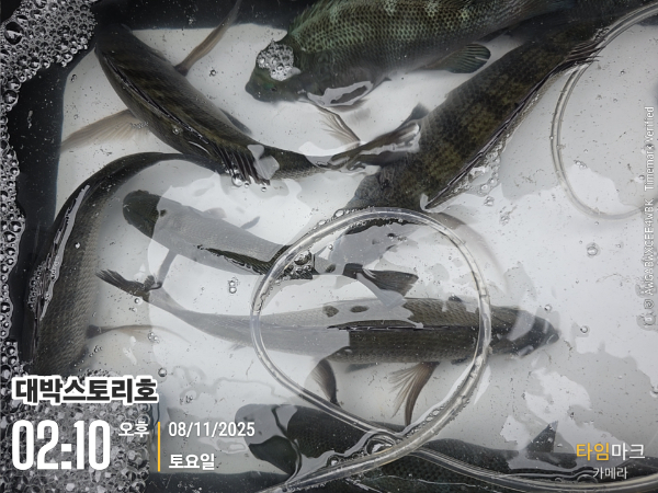 2025-11-08 02.10.27__(대박스토리호).jpg