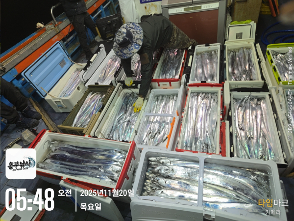 2025-11-20 05.48.32_.jpg