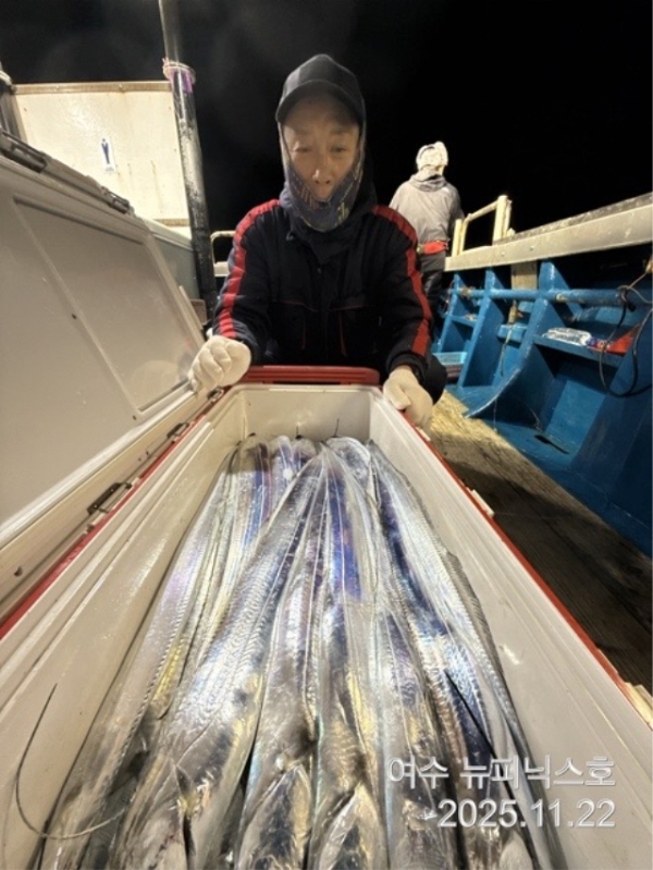 20911월22일갈치 (6).jpg