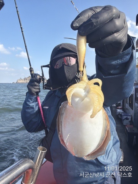 군산 선상낚시, 바다낚시 출조 전문 ☆서군산낚시☆_사진_20251101_11.jpg