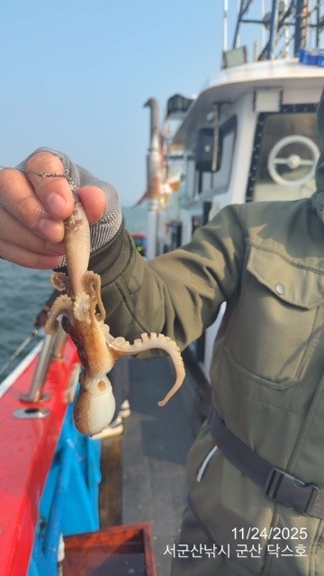 군산 선상낚시, 바다낚시 출조 전문 ☆서군산낚시☆_사진_20251124_12.jpg
