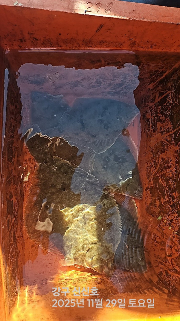 신신낚시 강구점 신신호_사진_20251129_3.jpg