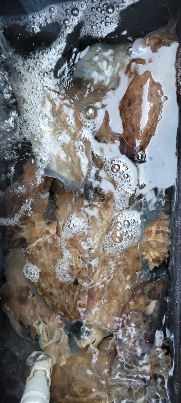 예지퀸호 농어외수질&어초낚시 경기인천권_사진_20251112_18.jpg