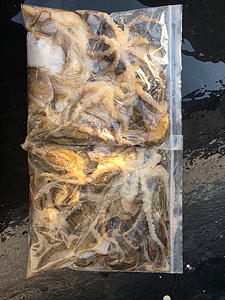 인천쭈꾸미낚시 (3).jpg