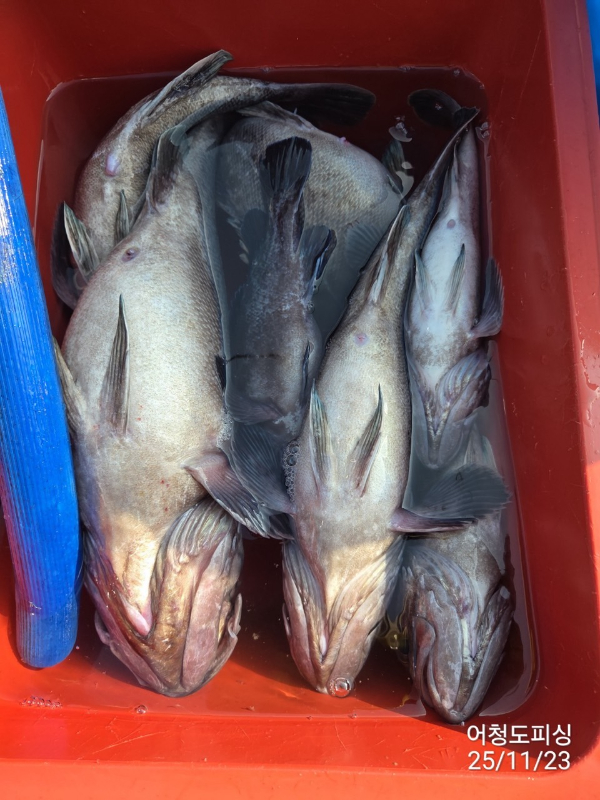 최강피싱 063.463.0800_사진_20251123_29.jpg