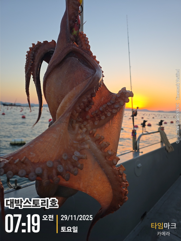 2025-11-29 07.19.19__(대박스토리호).jpg