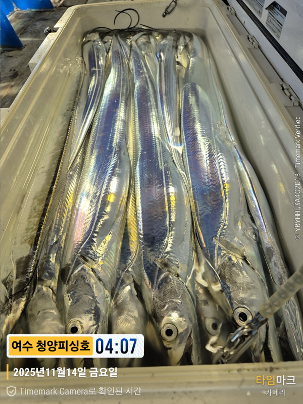 2025-11-14 04.07.13__(제목-여수 청양피싱호).jpg