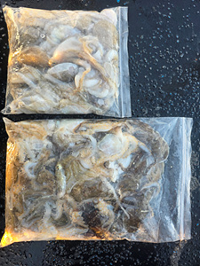 인천쭈꾸미낚시 (2).jpg