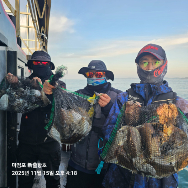 ꫛꫀꪝ✧‧˚ 태안 마검포 新출항호 .• _˚☀₊_사진_20251115_4.jpg