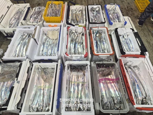 바다꾼낚시(신아라호)_사진_20251130_5.jpg