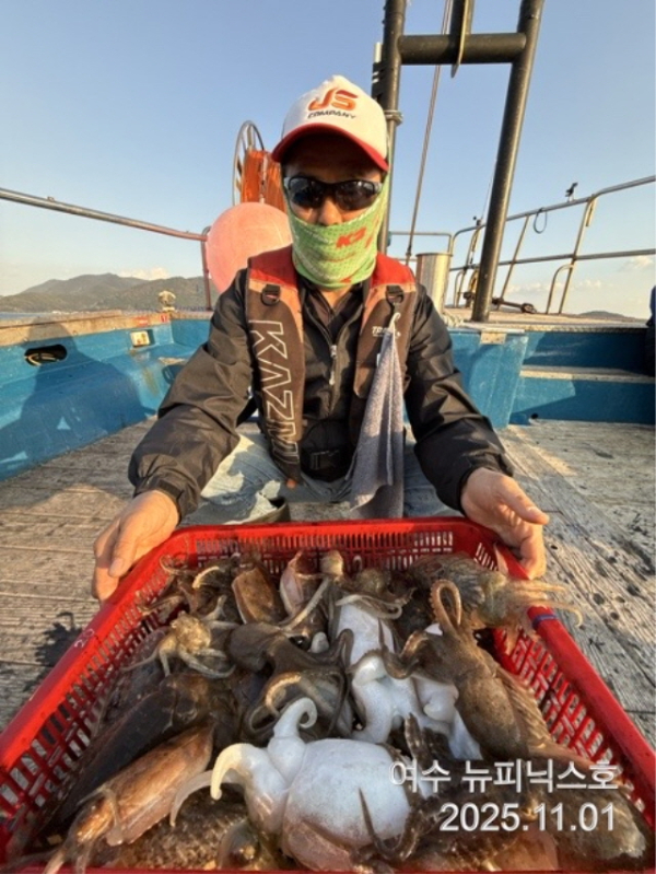11월1일왕갑오징어 (6).jpg