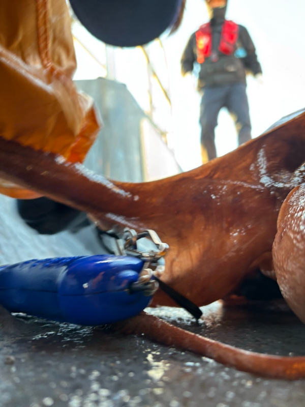 통영 메티스호_사진_20251104_6.jpg