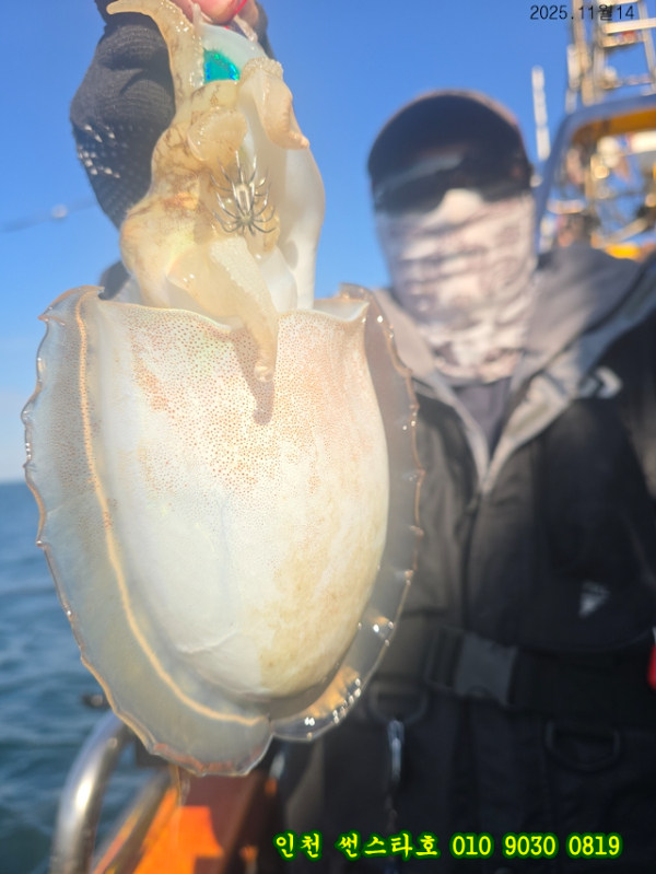 11월14 썬 (15).jpg