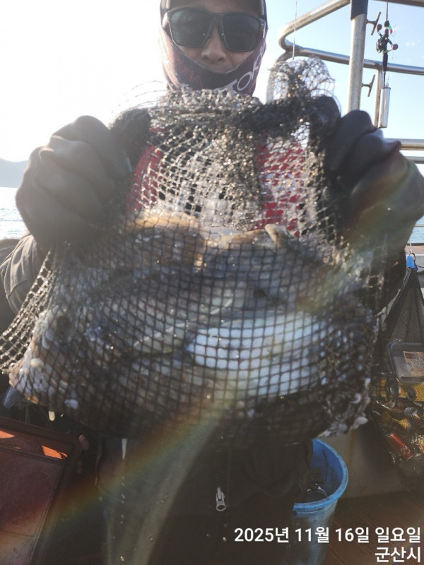 군산 선상낚시, 바다낚시 출조 전문 ☆서군산낚시☆_사진_20251116_8.jpg