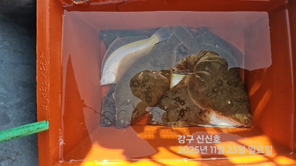 신신낚시 강구점 신신호_사진_20251123_4.jpg