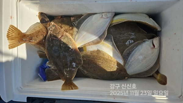 신신낚시 강구점 신신호_사진_20251123_12.jpg