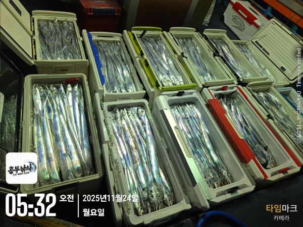 2025-11-24 05.32.55_.jpg