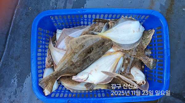 신신낚시 강구점 신신호_사진_20251123_15.jpg