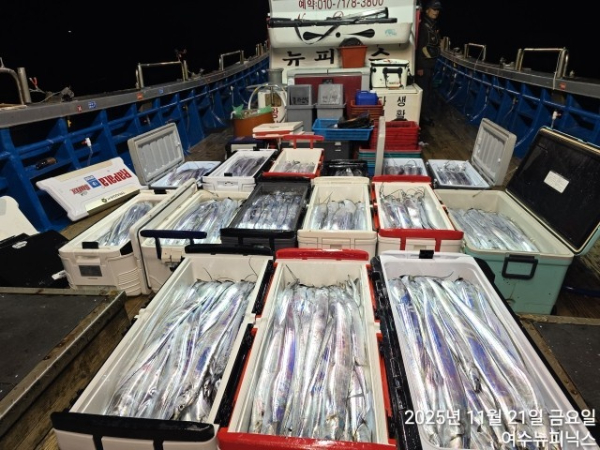11월21일왕갈치 (4).jpg
