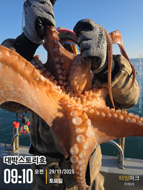 2025-11-29 09.10.55__(대박스토리호).jpg