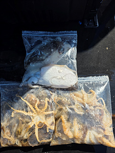 인천쭈꾸미낚시 (3).jpg