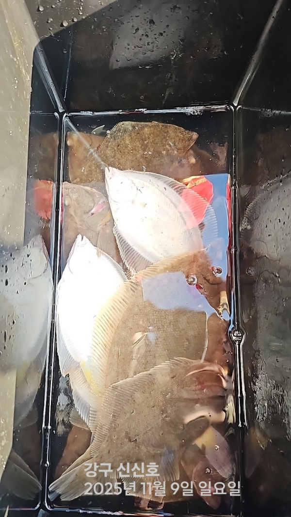 신신낚시 강구점 신신호_사진_20251109_12.jpg