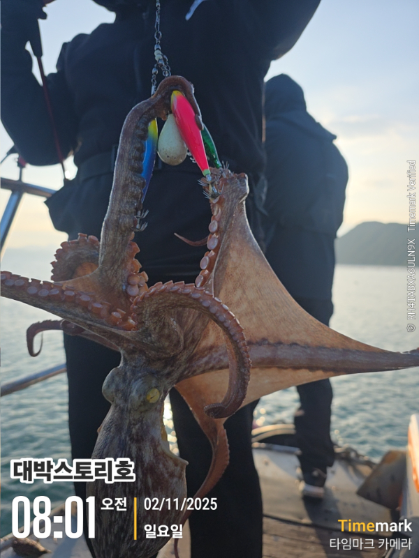 2025-11-02 08.01.31__(대박스토리호).jpg