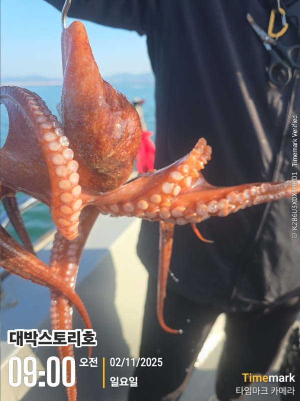 2025-11-02 09.00.30__(대박스토리호).jpg