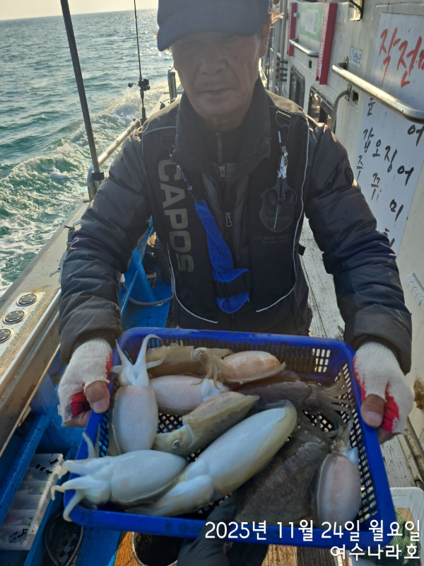 ♠여수나라호♠ 갈치 문어 참돔(타이라바), 쭈꾸미 갑오징어 선상낚시 생활낚시_사진_20251125_5.jpg