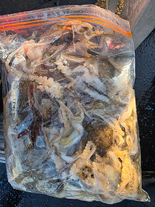 인천쭈꾸미낚시 (33).jpg