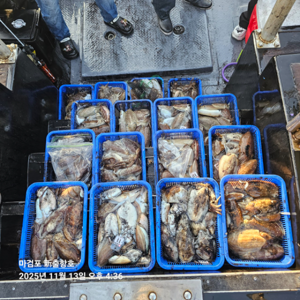 ꫛꫀꪝ✧‧˚ 태안 마검포 新출항호 .• _˚☀₊_사진_20251113_4.jpg