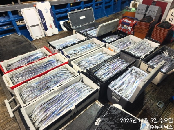 11월5일대갈치 (5).jpg