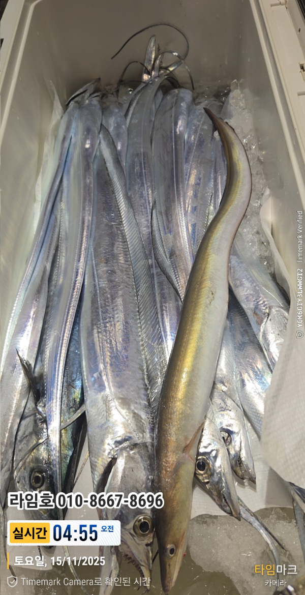 2025-11-15 04.55.05__(제목-실시간)_(라임호 010-8667-8696).jpg