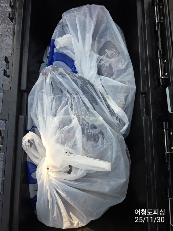 최강피싱 063.463.0800_사진_20251130_31.jpg