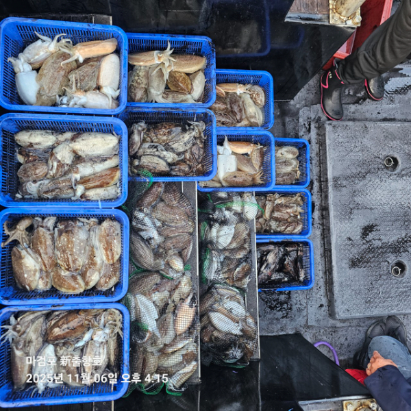 ꫛꫀꪝ✧‧˚ 태안 마검포 新출항호 .• _˚☀₊_사진_20251106_6.jpg