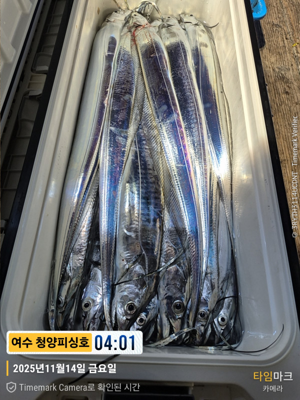 2025-11-14 04.01.33(1)__(제목-여수 청양피싱호).jpg