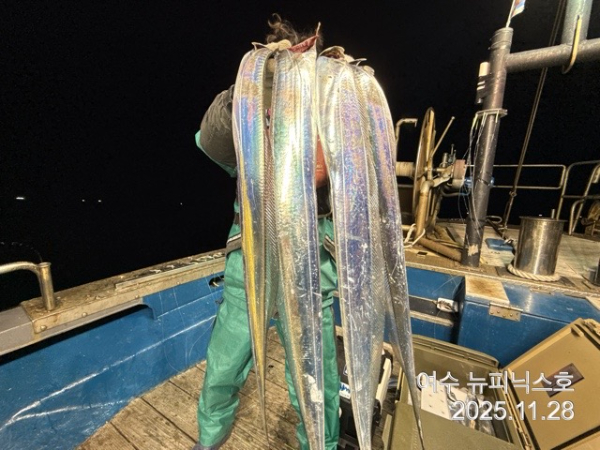 11월29일갈치 (6).jpg